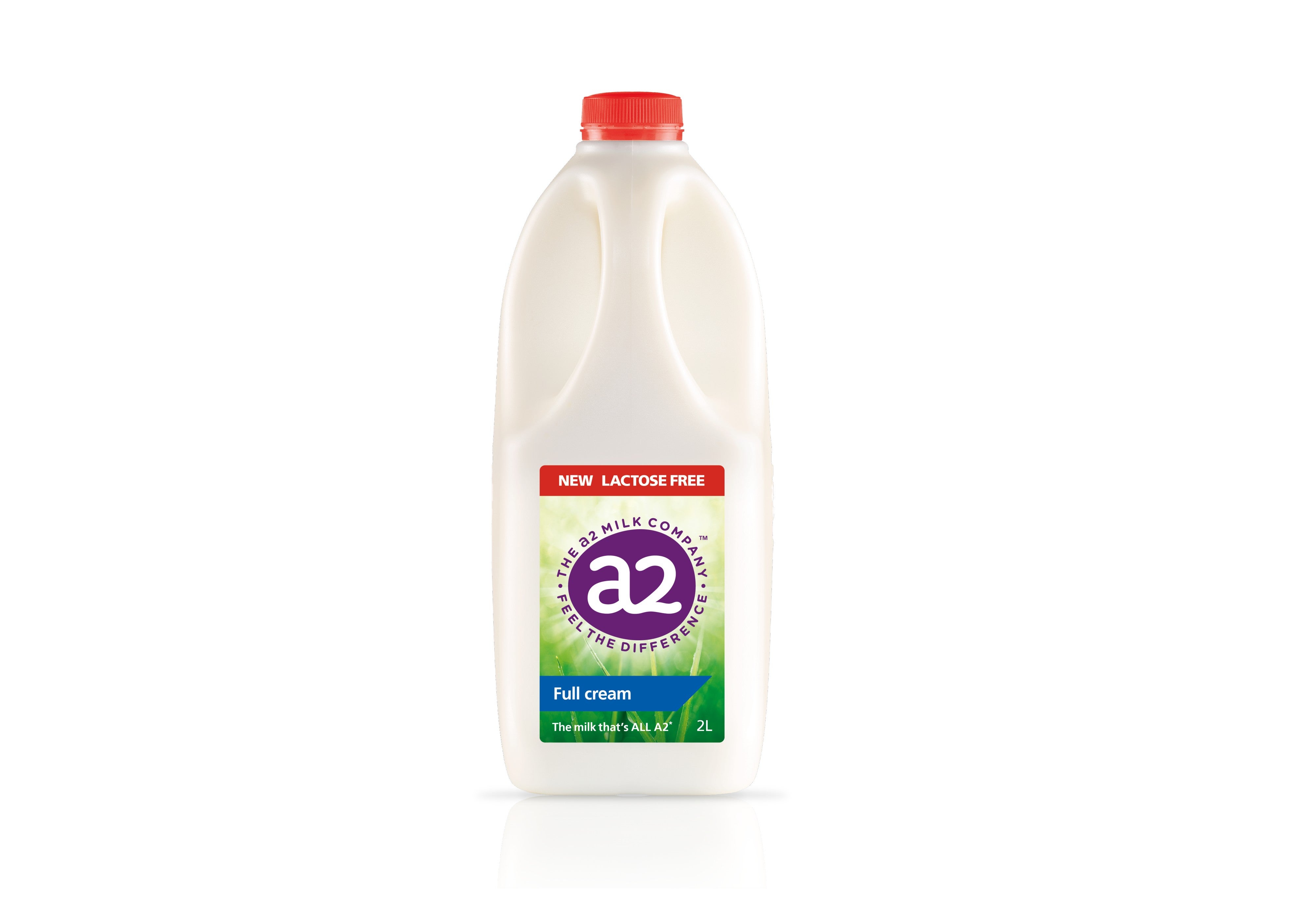 Lactose Free